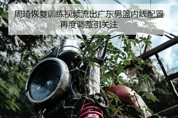 周琦恢复训练视频流出广东男篮内线配置再度调整引关注
