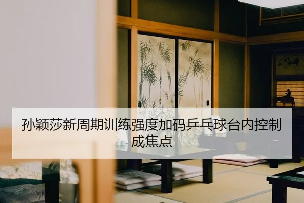 孙颖莎新周期训练强度加码乒乓球台内控制成焦点
